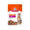 HILLS KASSI EINEKOTIKE VEIS 12x85g