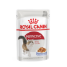 ROYAL CANIN FHN INSTINCTIVE in Jelly 12x85G, kassitoit