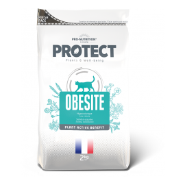 Pro-Nutrition Protect Cat Obesite kassitoit Ülekaalulistele kassidele 4kg