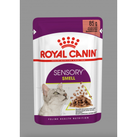 Royal Canin FHN Sensory Smell in Gravy 12x85G kassitoit