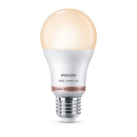 Philips WiZ LED Smart Bulb, 60 W, E27, valge - Nutivalgusti