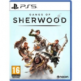 Gangs of Sherwood, PlayStation 5 - Mäng