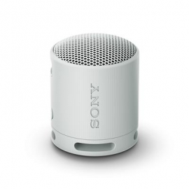 Sony SRS-XB100, helehall - Kaasaskantav juhtmevaba kõlar