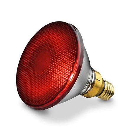 Beurer IL35, 150 W - Varuinfrapunapirn