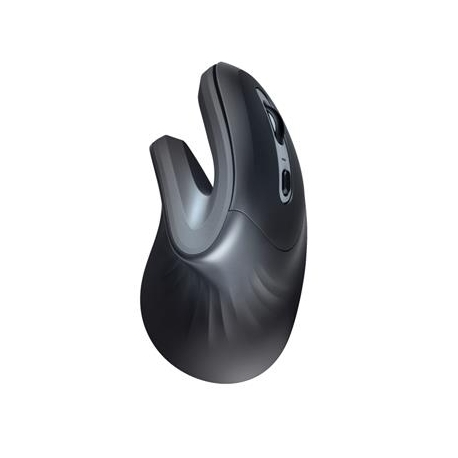 Trust Verro Ergonomic, must - Juhtmevaba optiline hiir