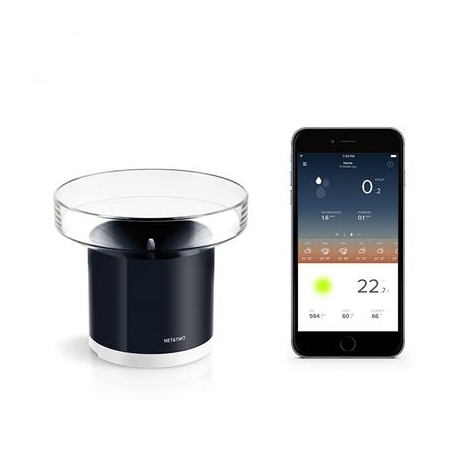 Netatmo Rain Gauge, must - Vihmaandur